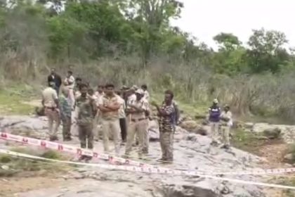 Tiger Dead MM Hills