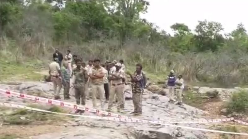Tiger Dead MM Hills