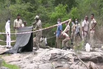 Tigers Death Case