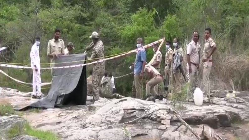 Tigers Death Case