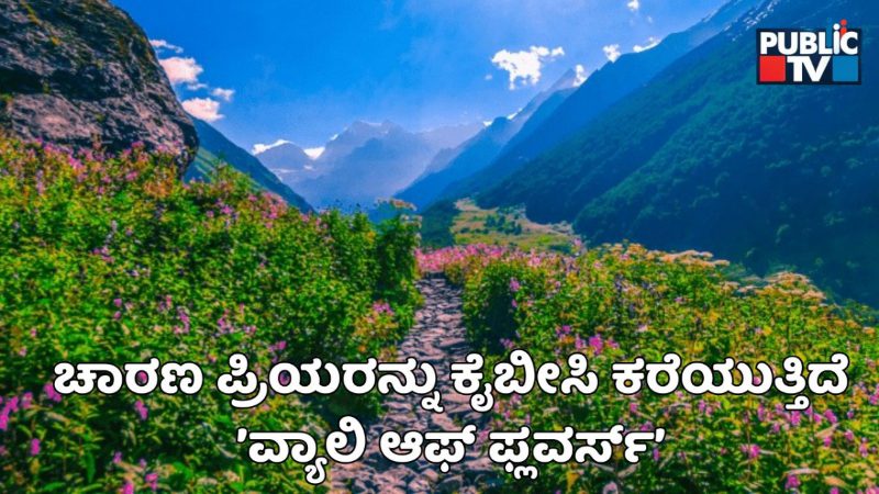 ValleyOf Flowers