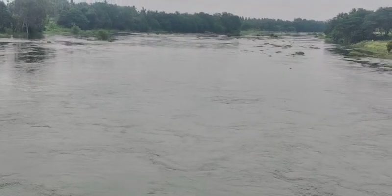 cauvery river