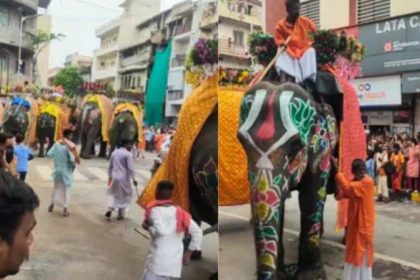 elephants run amok during Jagannath Rath Yatra