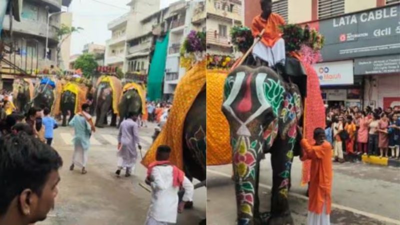 elephants run amok during Jagannath Rath Yatra