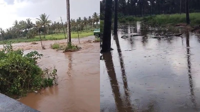 heavy Rain in haasan