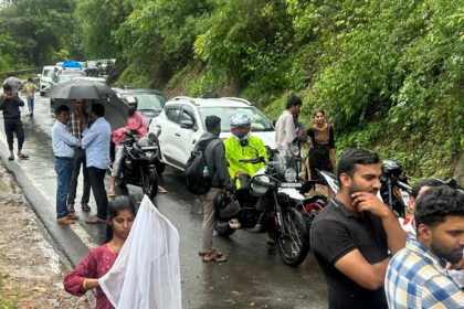 huge tree falls in charmadi ghat due to rain 3 km traffic jam