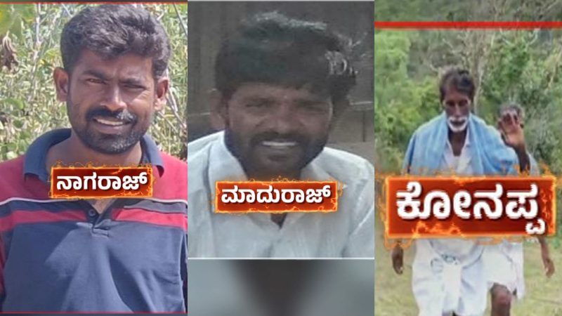 tigers death case accused chamarajanagara