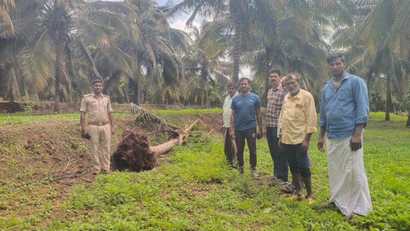wild elephant crops destroys