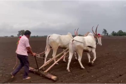Bagalkote farmer sows 20 acres of onions in 10 hours 1