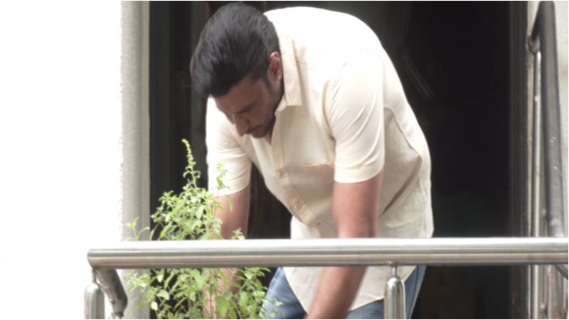 Darshan performed Tulsi pooja