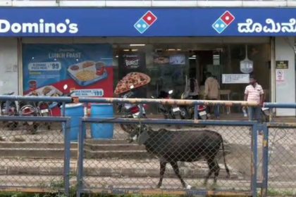 Dharwad Dominos Pizza Fine