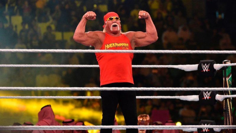 Hulk Hogan 3