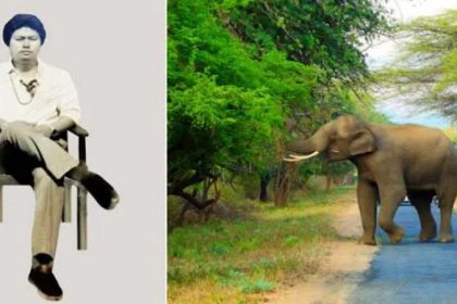 Kapchen Rajkumar Elephant Attack