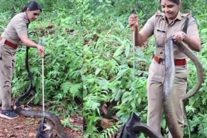 Kerala Snake rescues by women forest officers