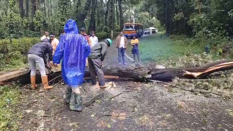 Kodagu Rain 1