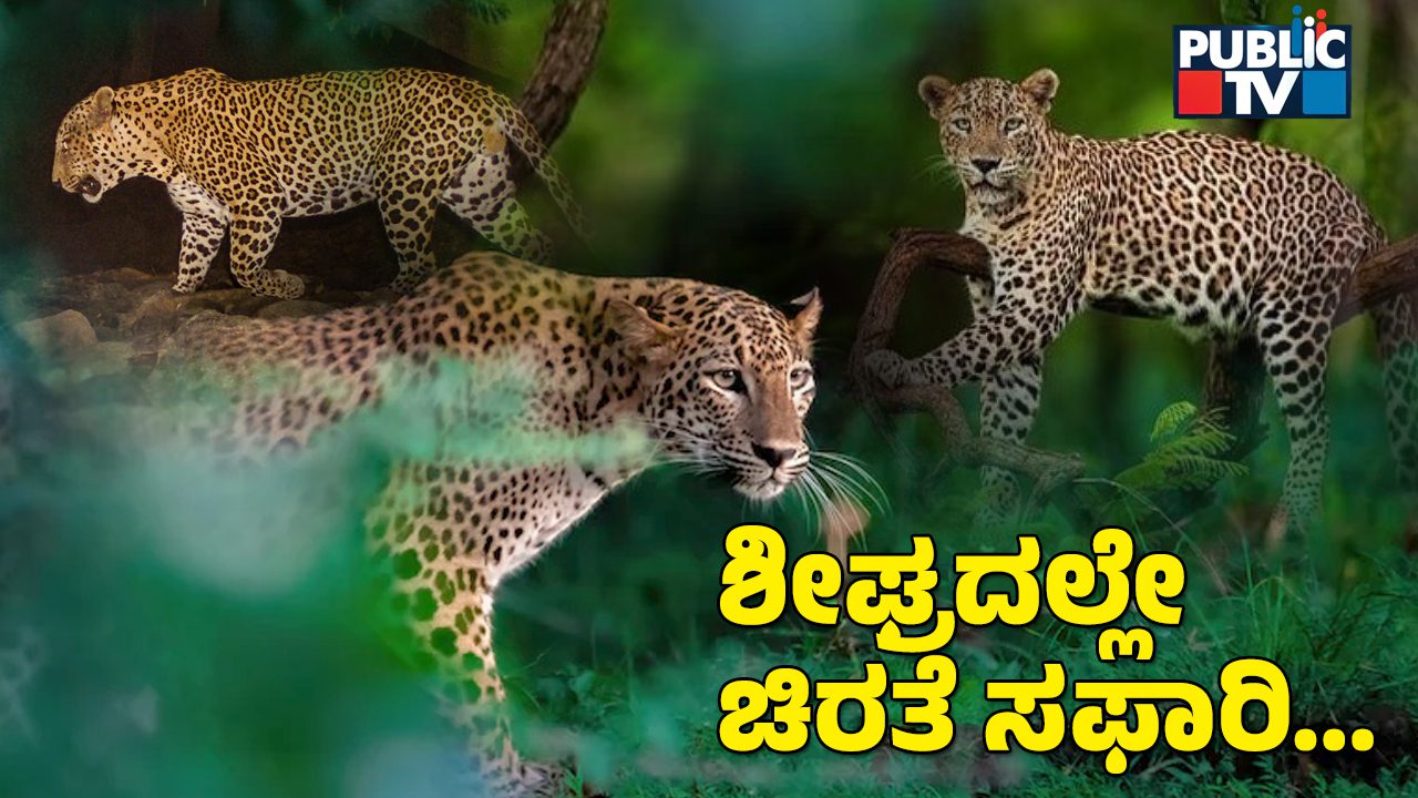 Leopard 2