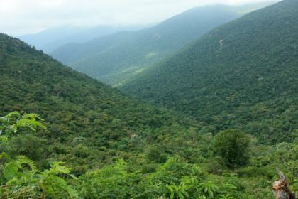 Male mahadeshwar hills