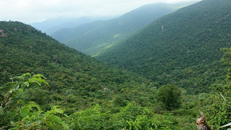 Male mahadeshwar hills