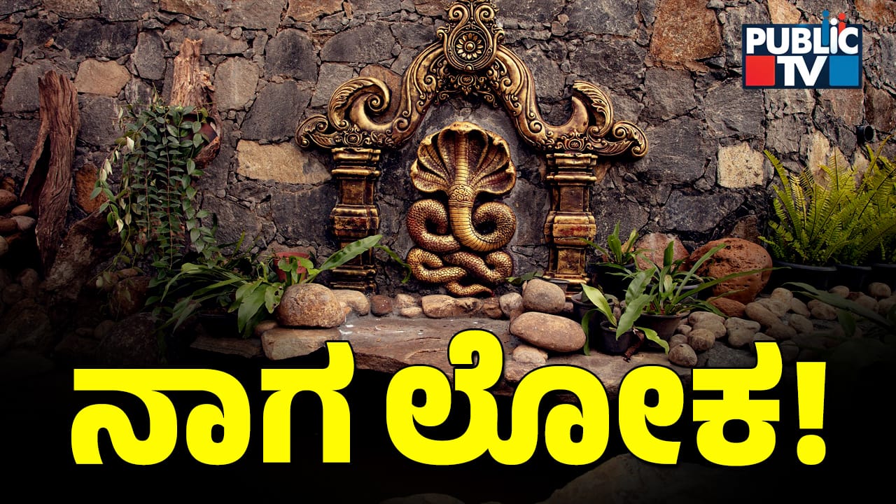 Naga Panchami