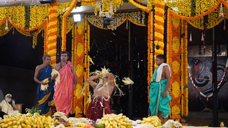 Nagamandala 3