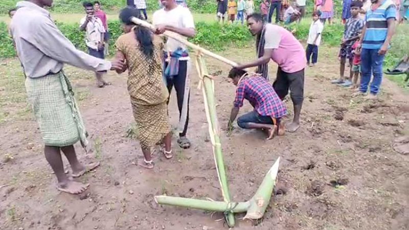 Odisha Couple Tied To Yoke Like Oxen Made To Plough Field