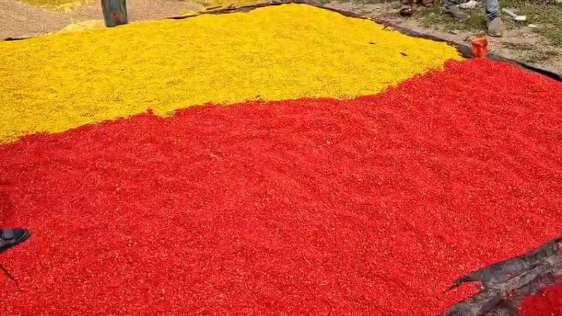 Raichuru Adulterated Products 1