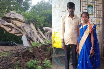 Raichuru Tree fall death
