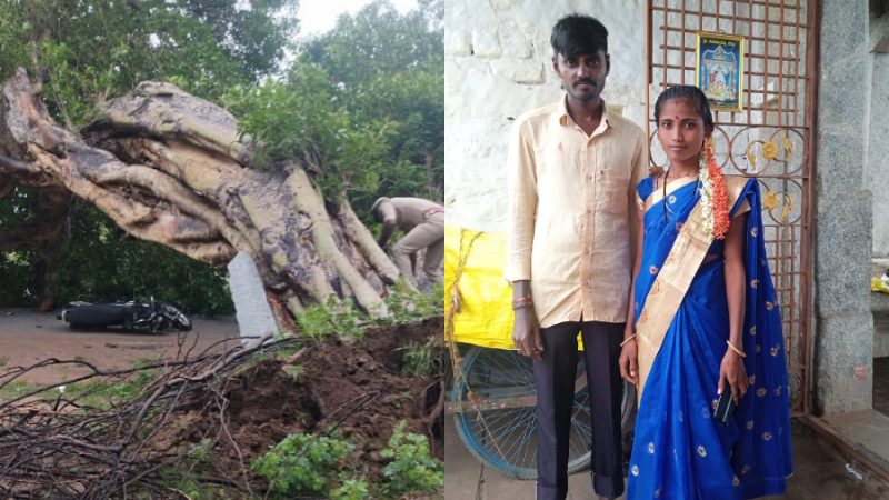 Raichuru Tree fall death