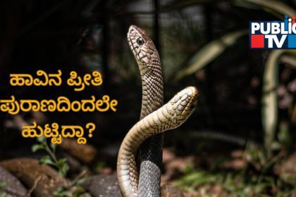 Snake 4