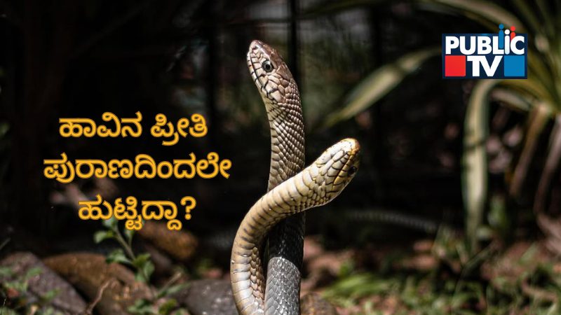 Snake 4