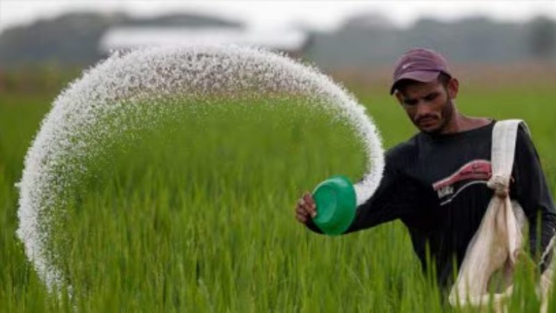Urea