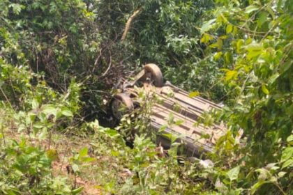Woman killed as car falls into river in Shivamogga