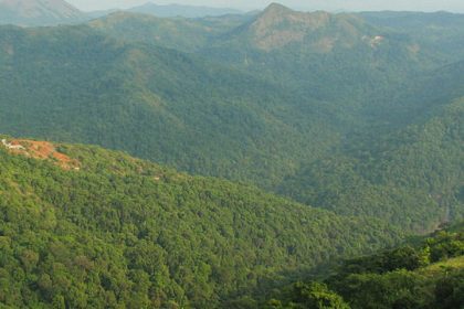 Yettinahole Forest