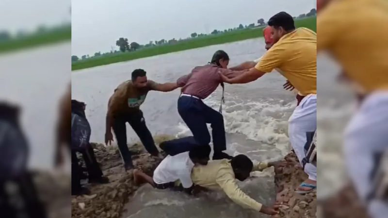human bridge punjab