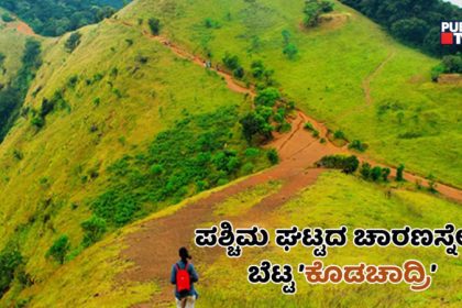 kodachadri