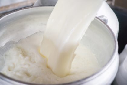 milk