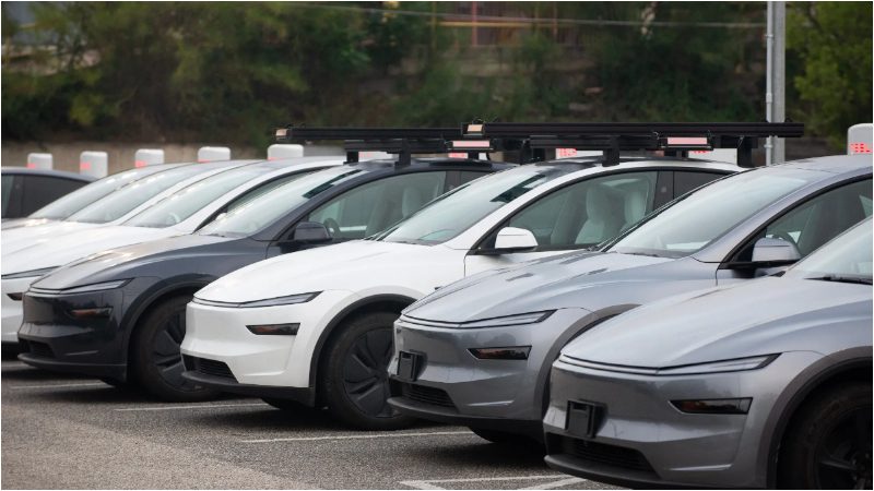 model y is SUV TESLA Elon Musk 2
