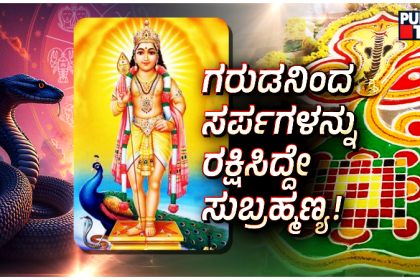 why is ashlesha bali done its significance rituals