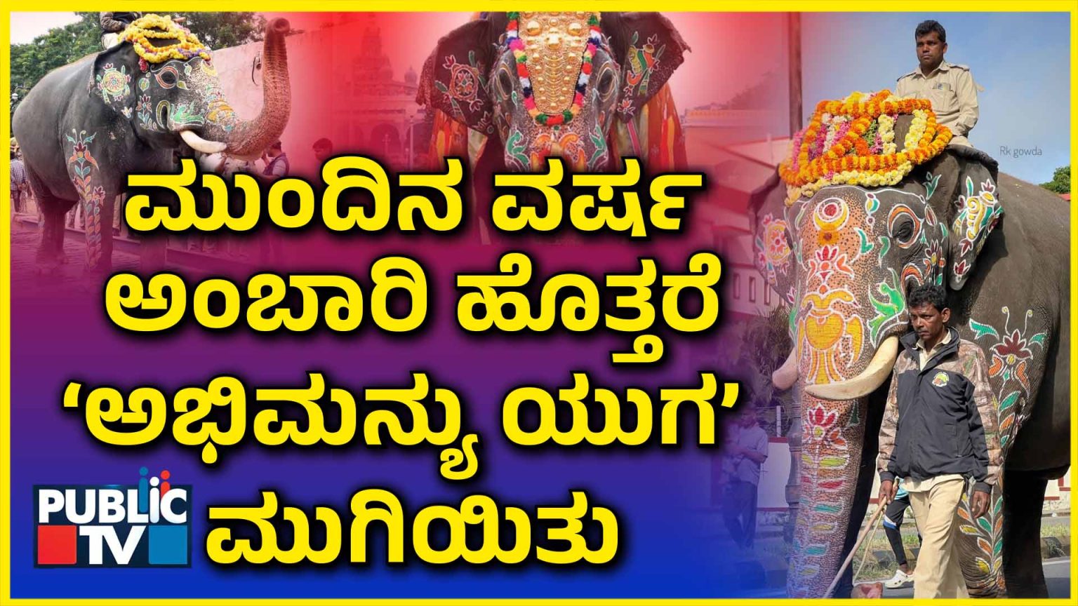 Abhimanyu Elephant
