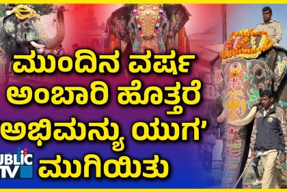 Abhimanyu Elephant