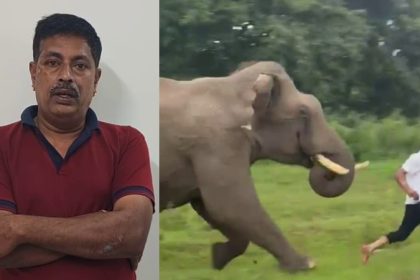 BASAVARAJU FINE