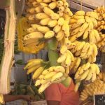 Banana 2