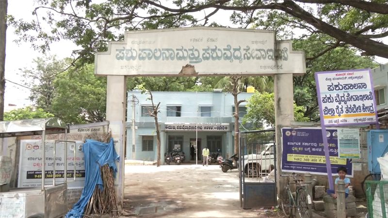Chikkaballapura Virus