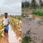 Chitradurga Rain Cropl oss