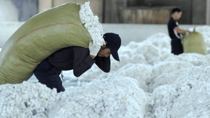 Cotton