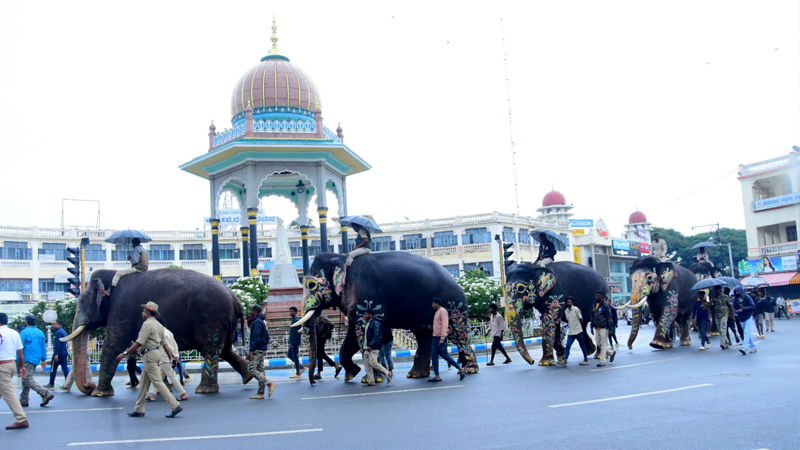 Dasara Elephants 2