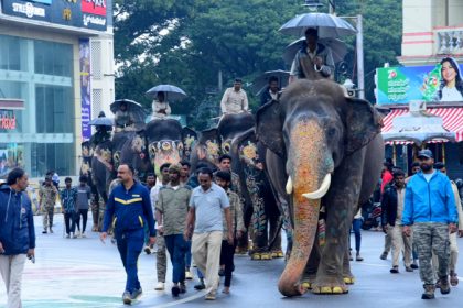 Dasara Elephants