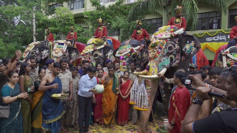 Dasara Gajapade