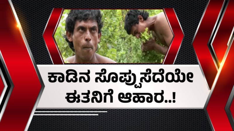 Dharwad Tarzan 2
