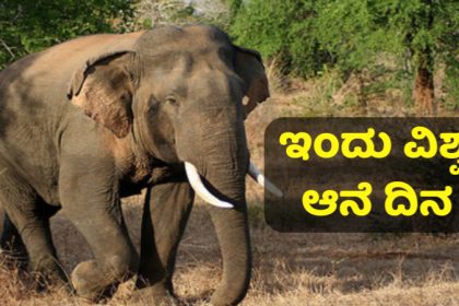 Elephant day